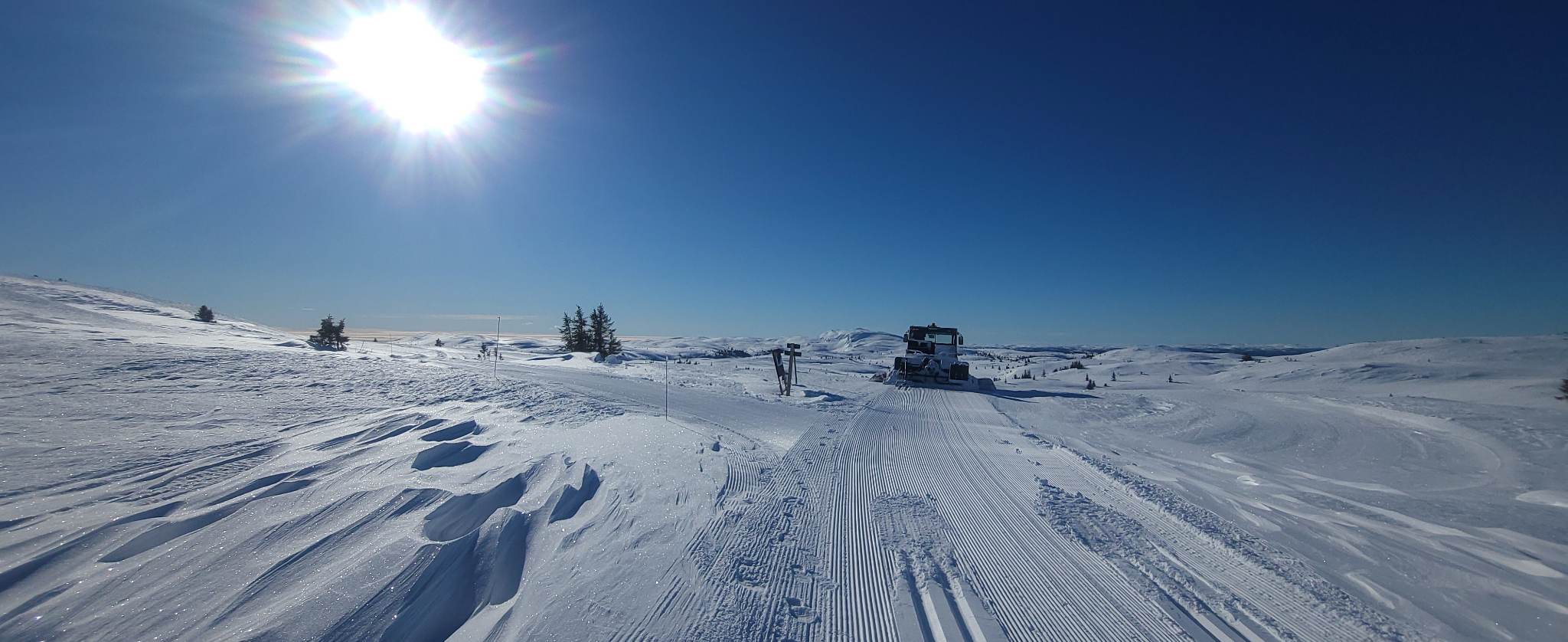 0318 Ole Ronny_01.jpg