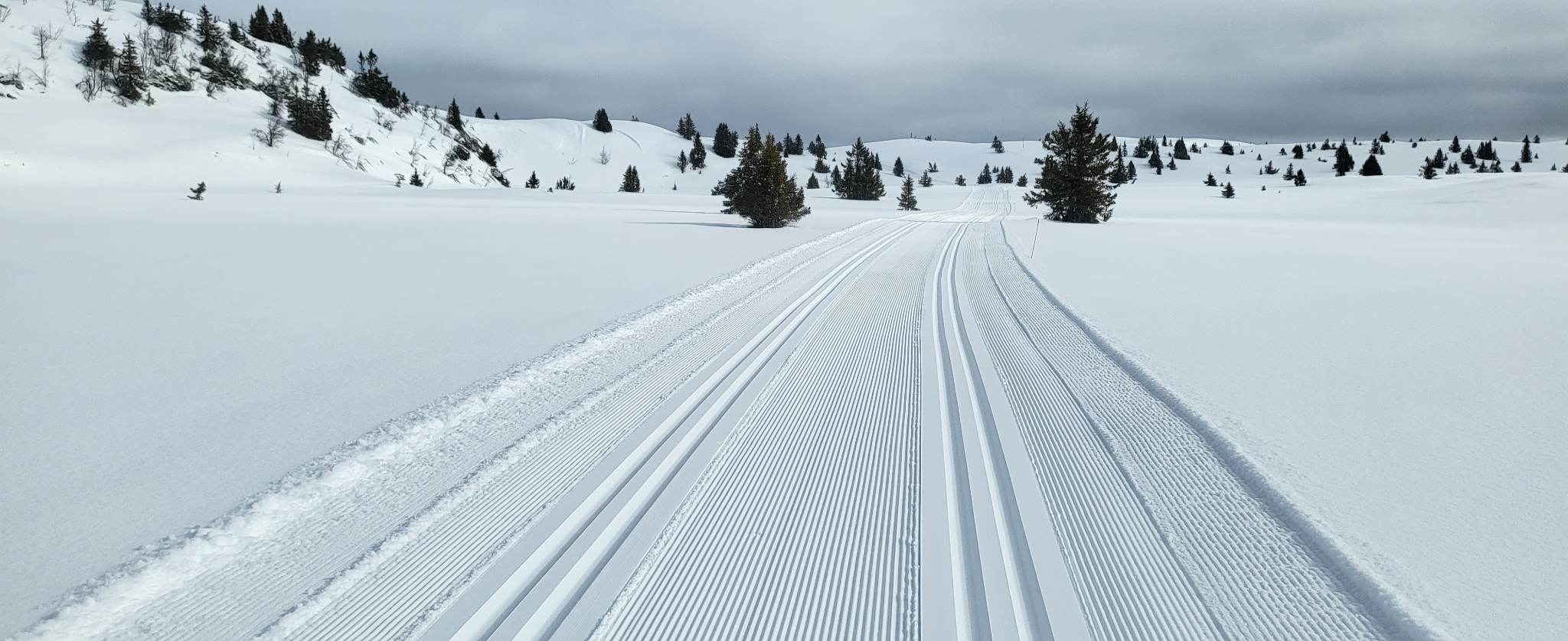 0330 Ole Ronny_03.jpg