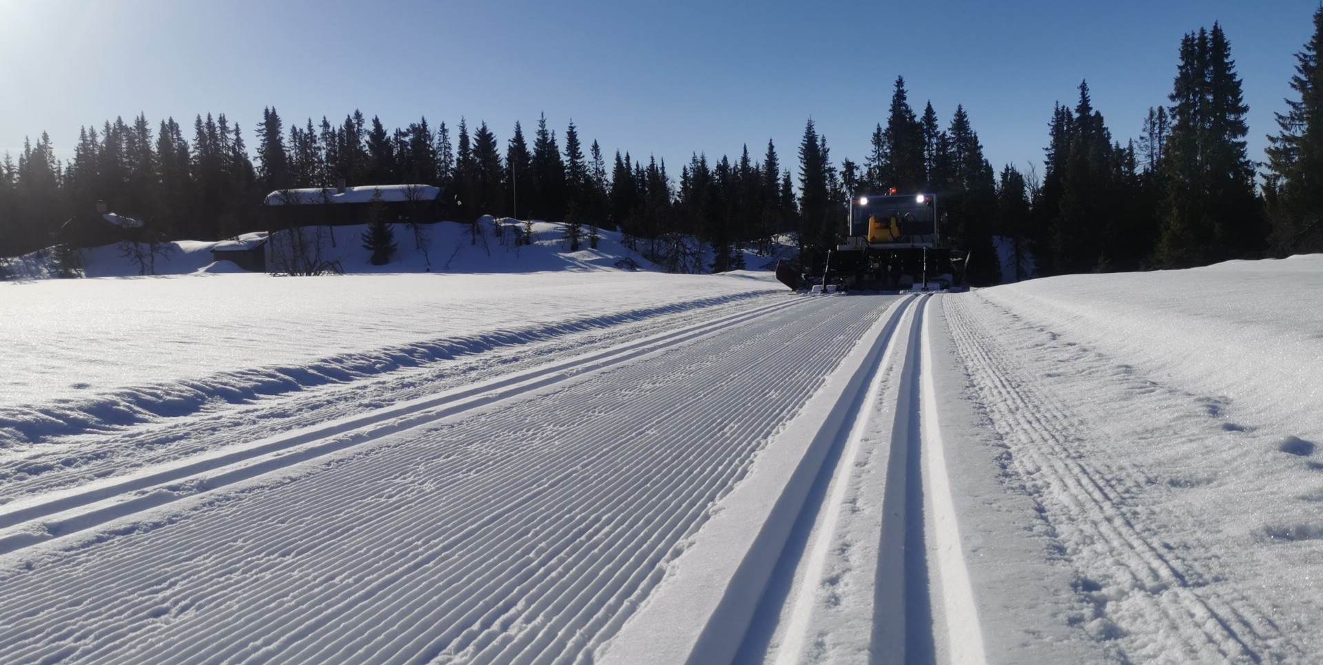 0421 Trond Vidar_01.jpeg