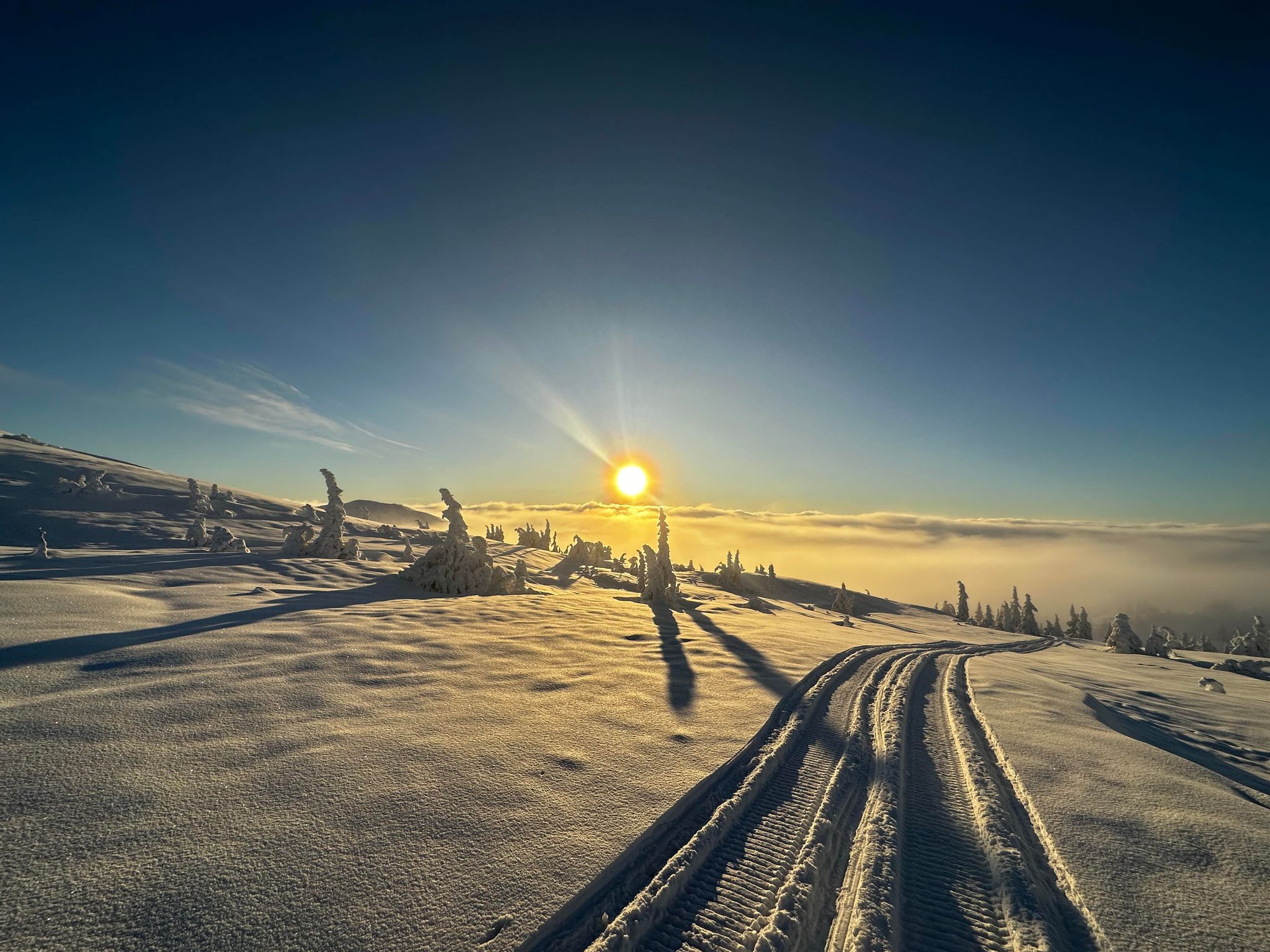 1108_05 oleronny.jpg