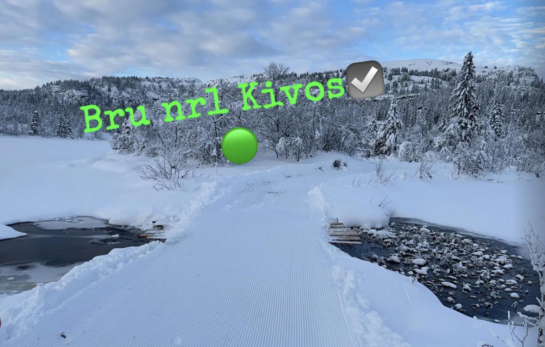 1113_04 oleronny.jpg