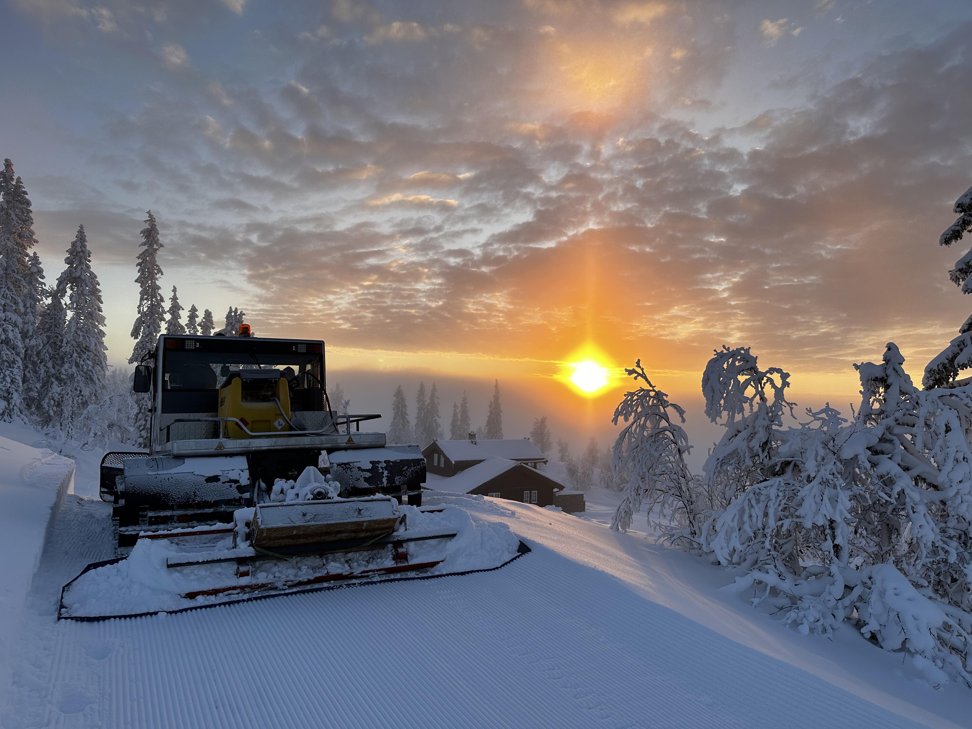 1113_02 oleronny.jpg