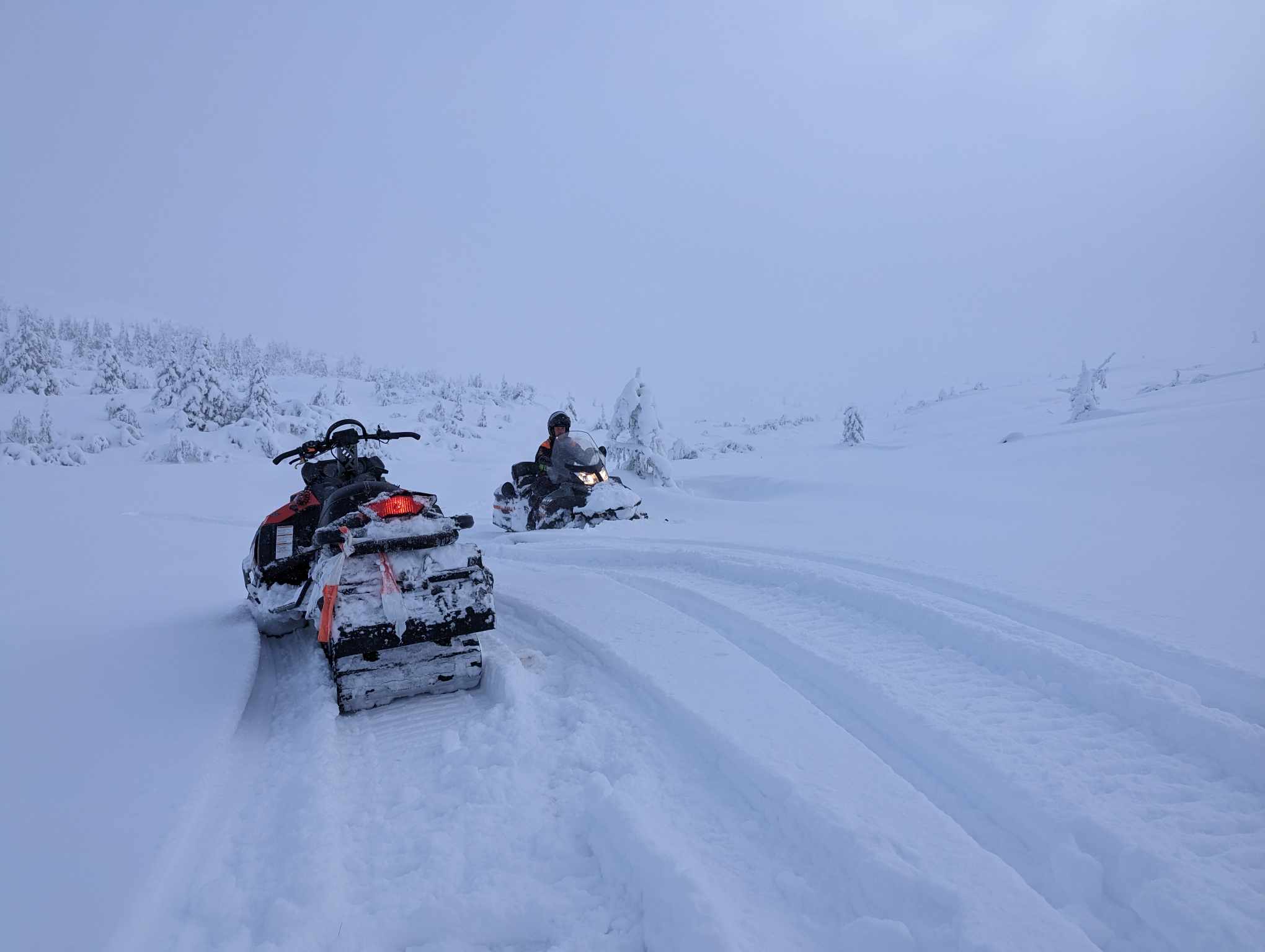 1120 trondvidar_01.jpg