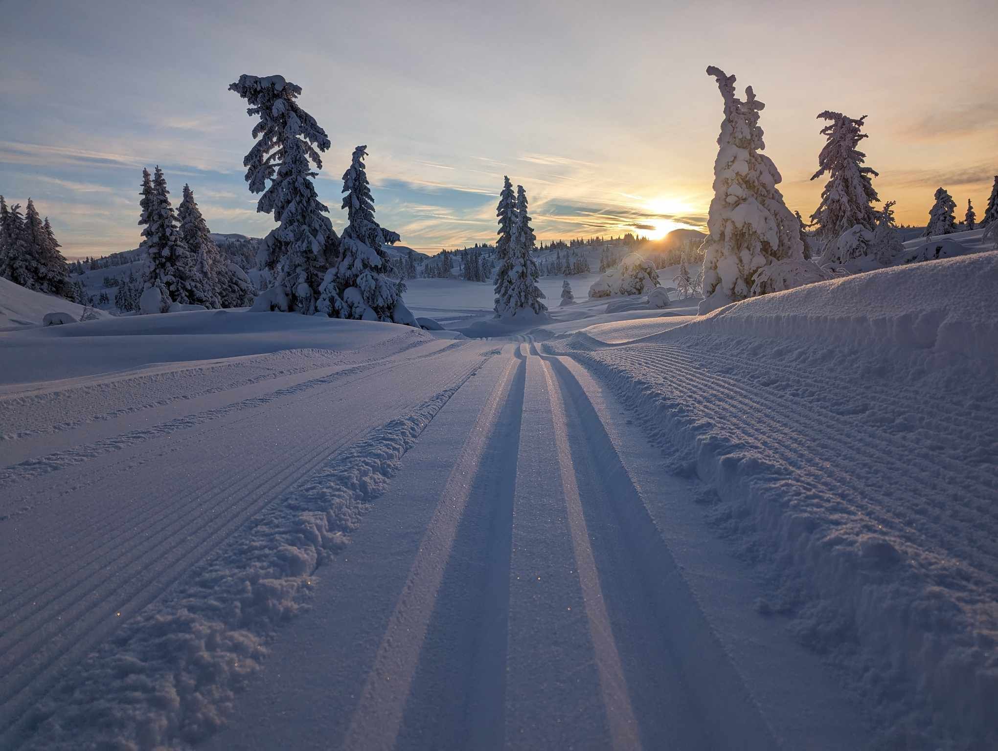 1214_01 trondvidar.jpg