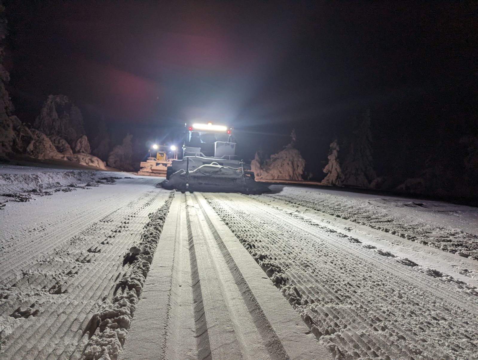 1222_01 trondvidar.jpg