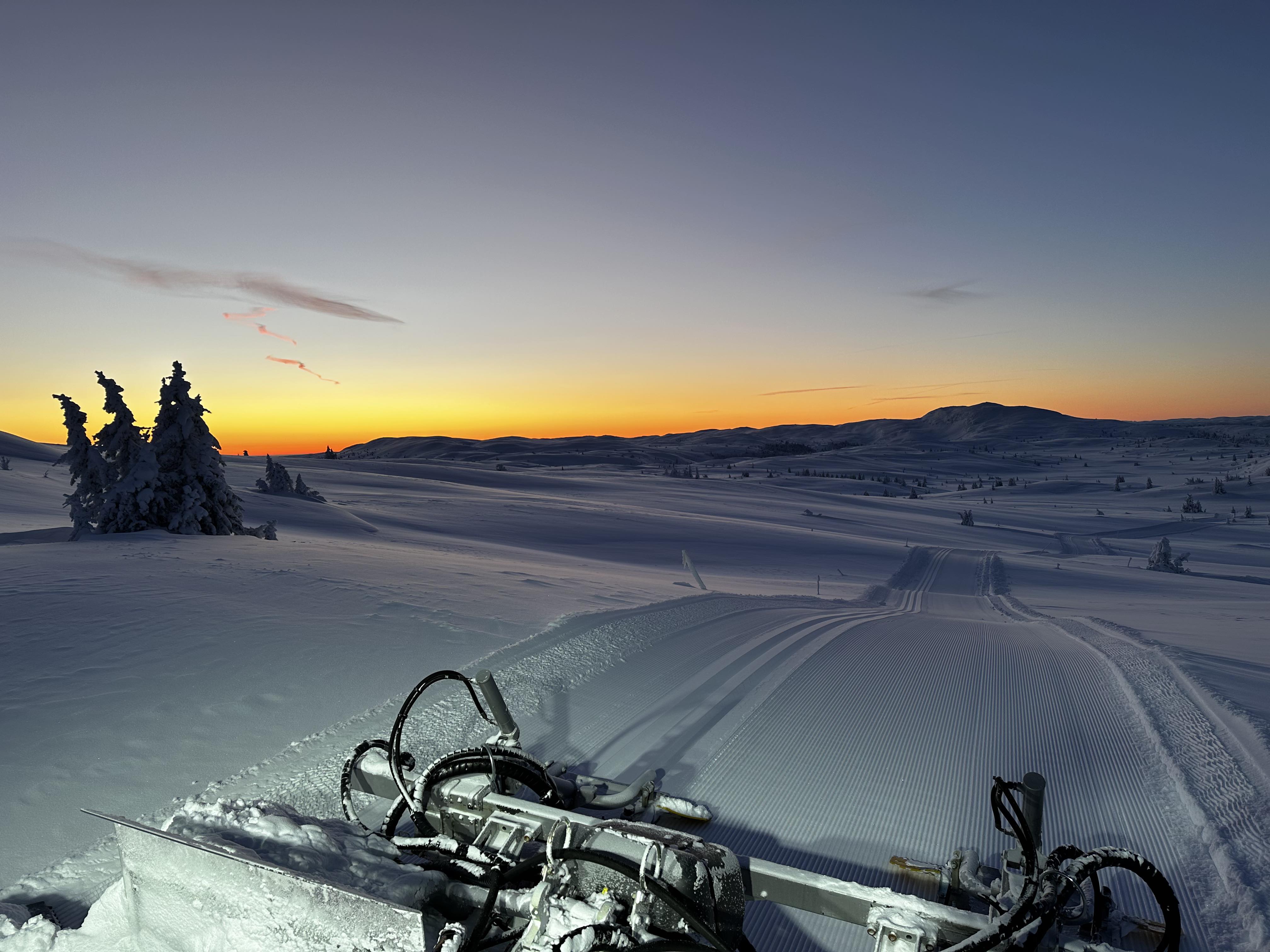 0105_03 oleronny.jpg