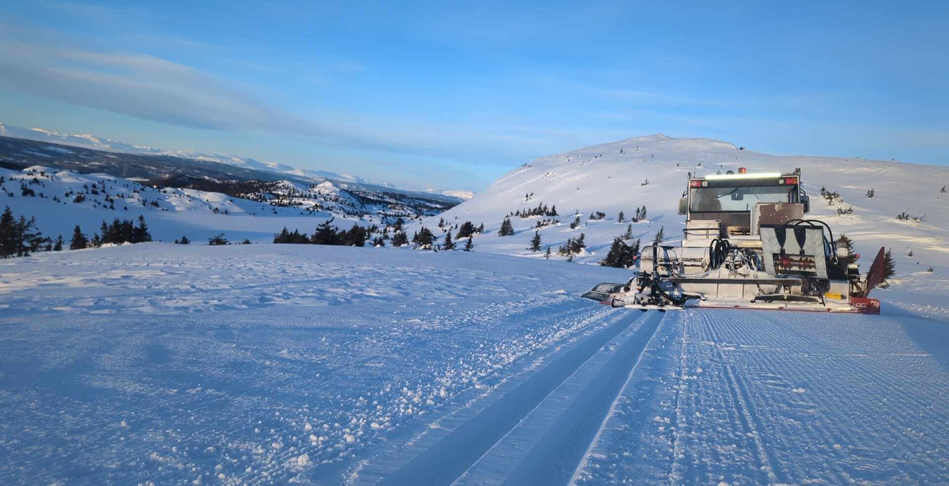 0115_03 trondvidar.jpg