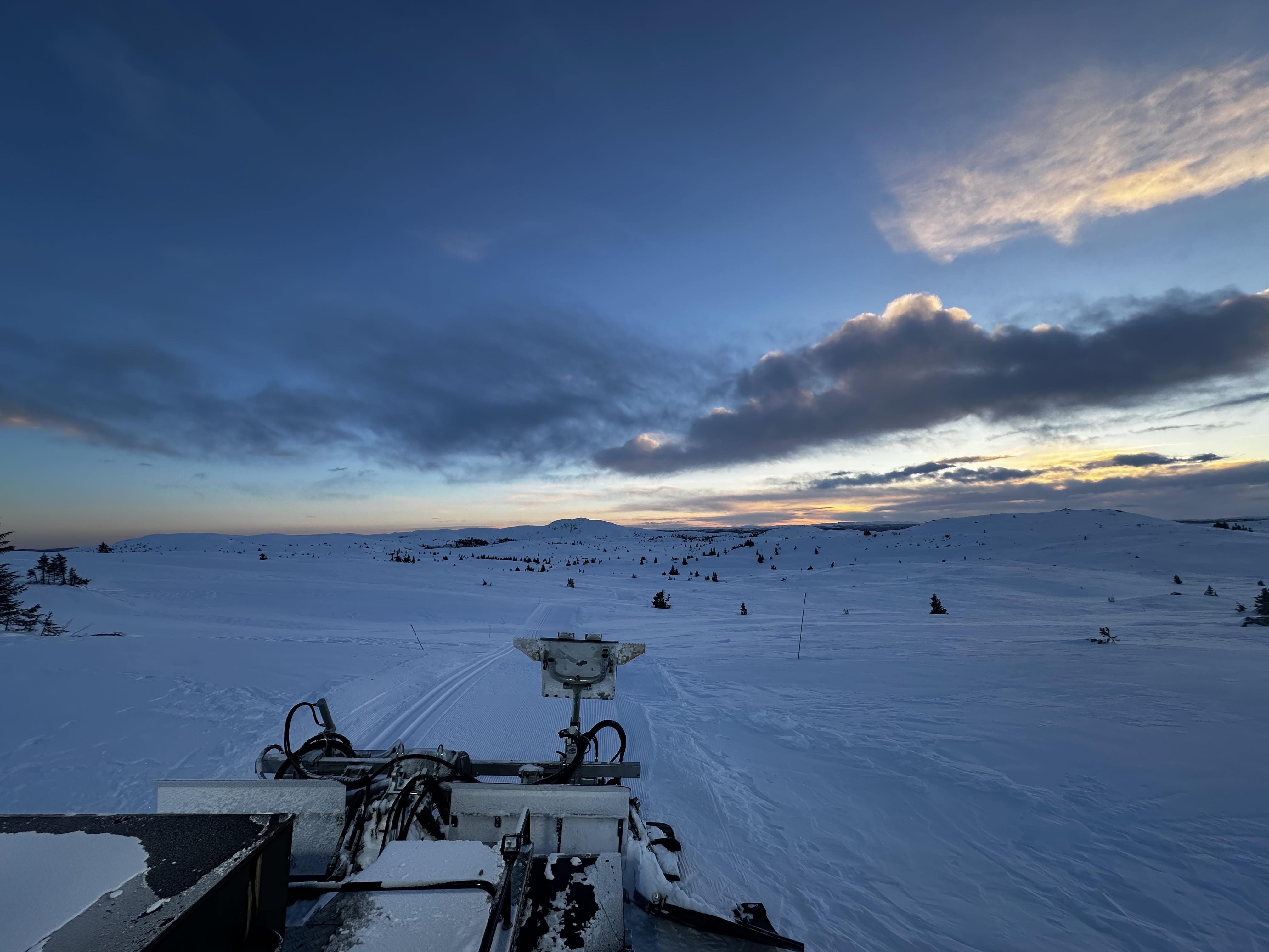 0118_02 oleronny.jpg