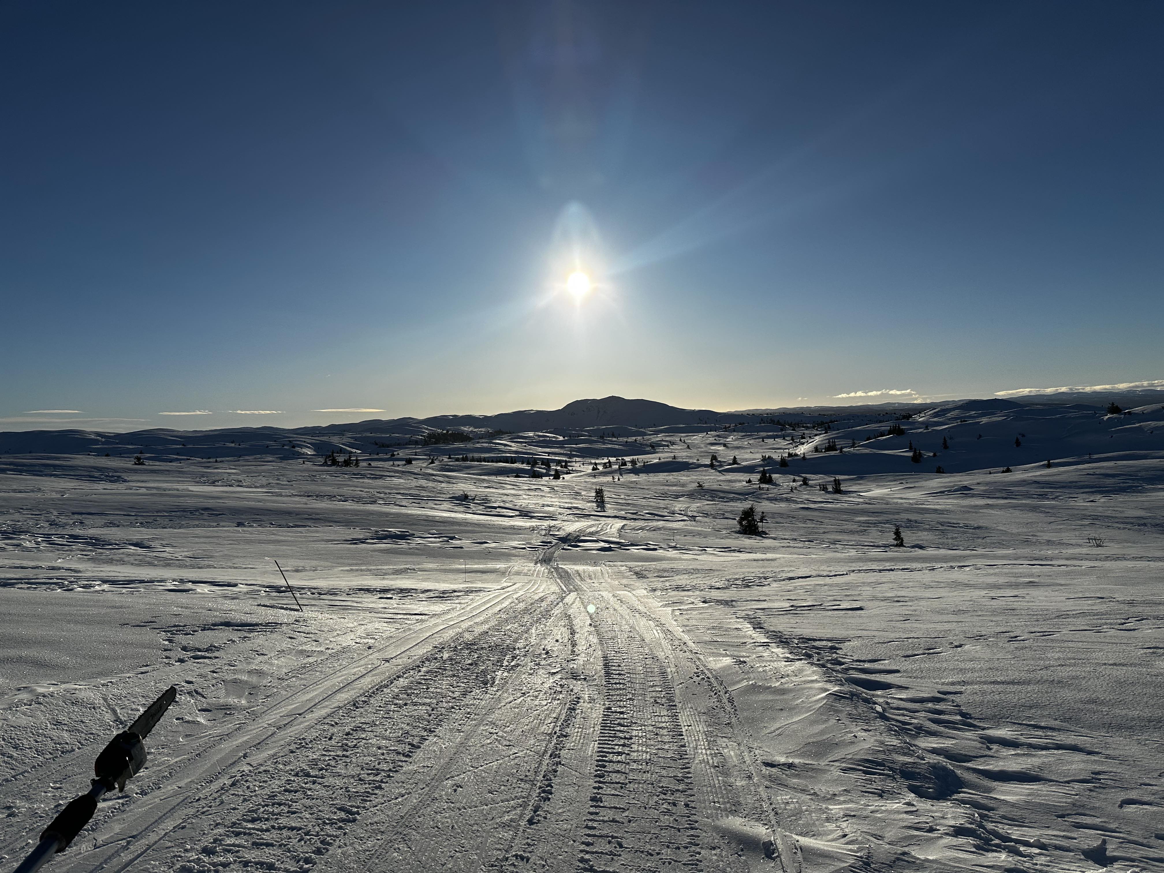 0123_01 oleronny.jpg