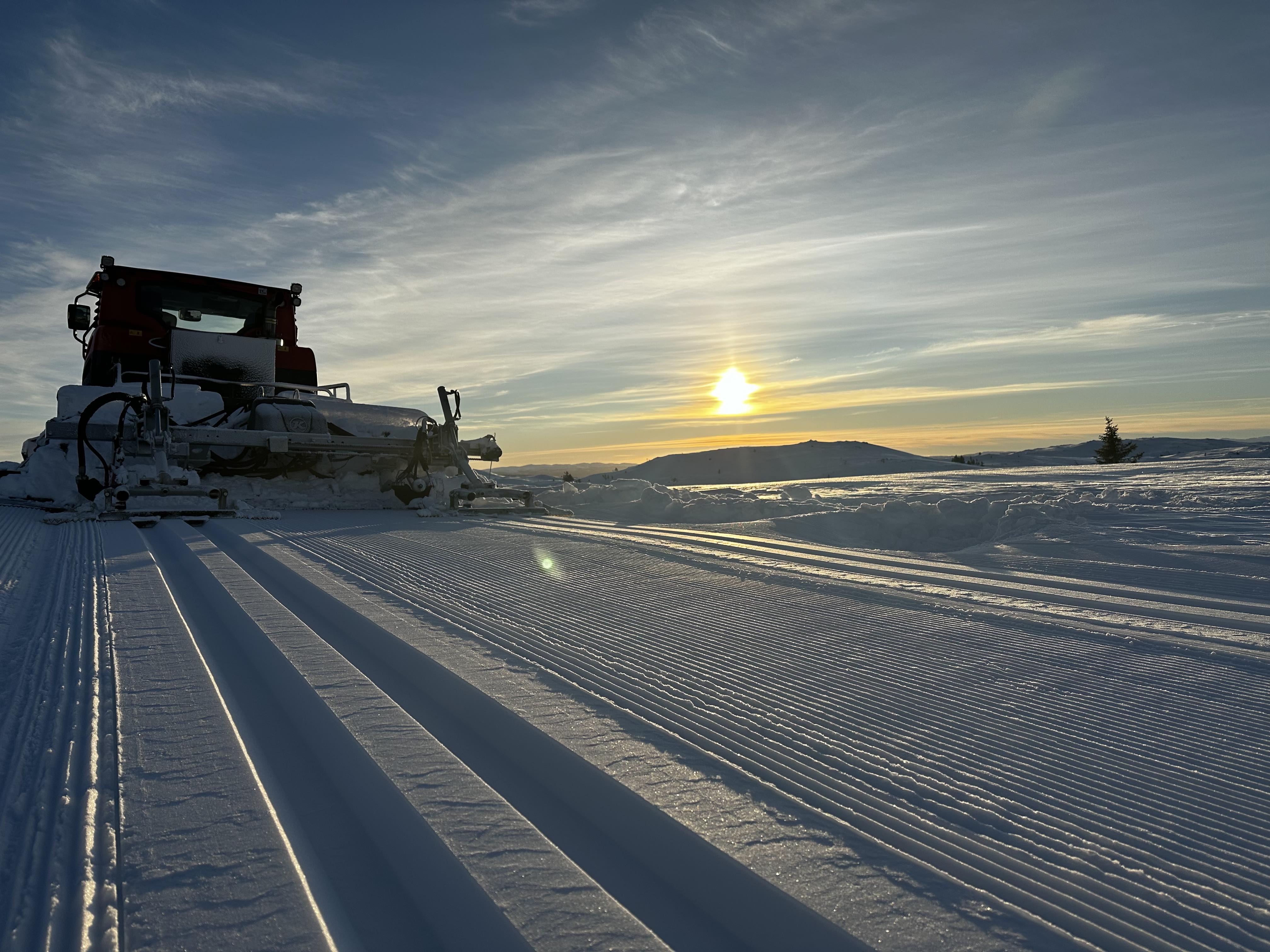 0125_03 oleronny.jpg