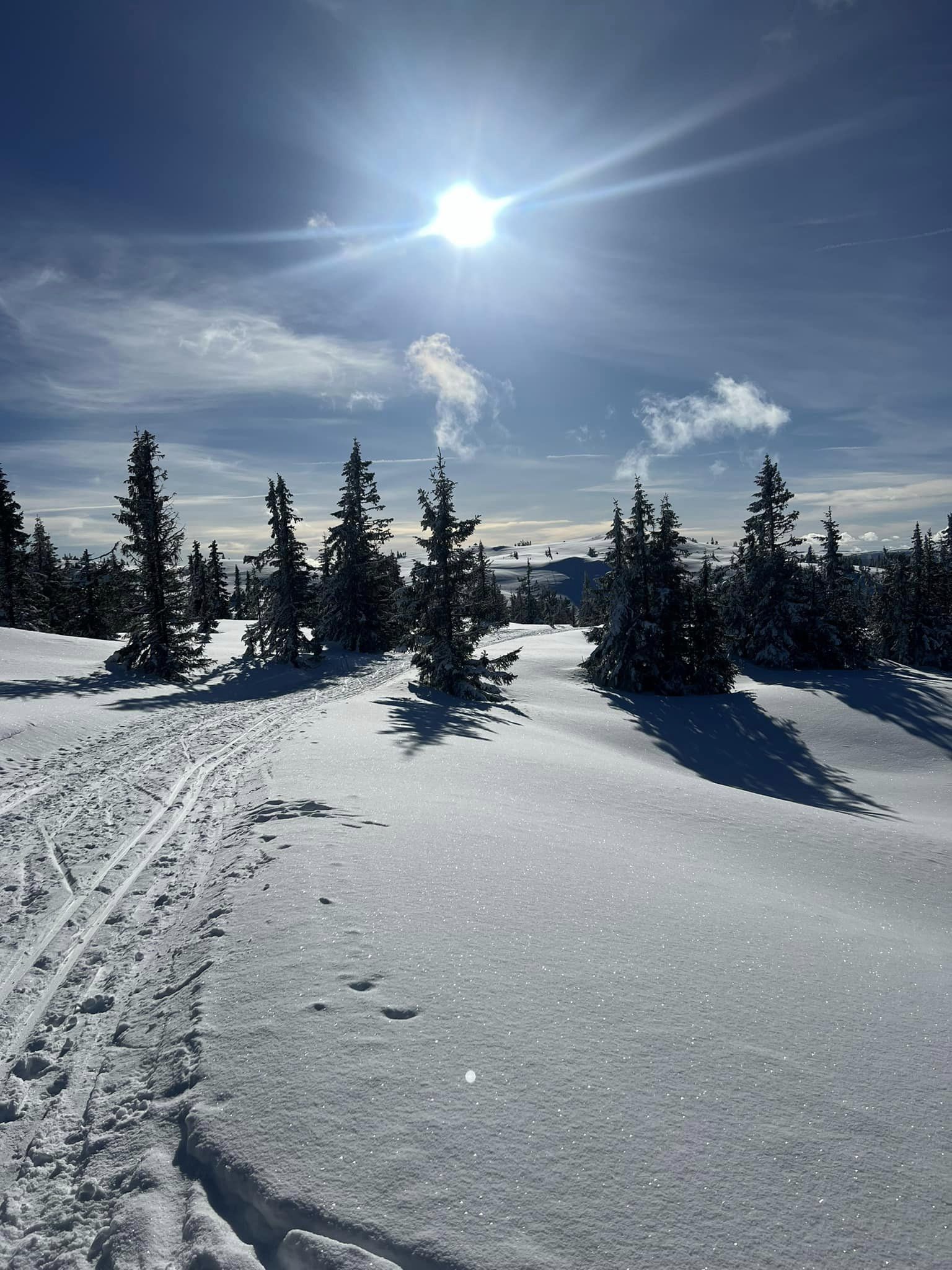 0225 Jan Fredrik_01.jpg