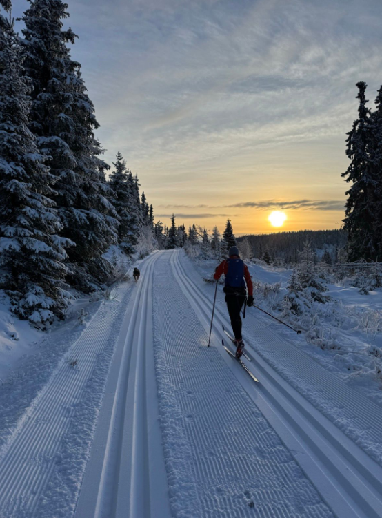 Skjermbilde 2024-12-09 152922.png